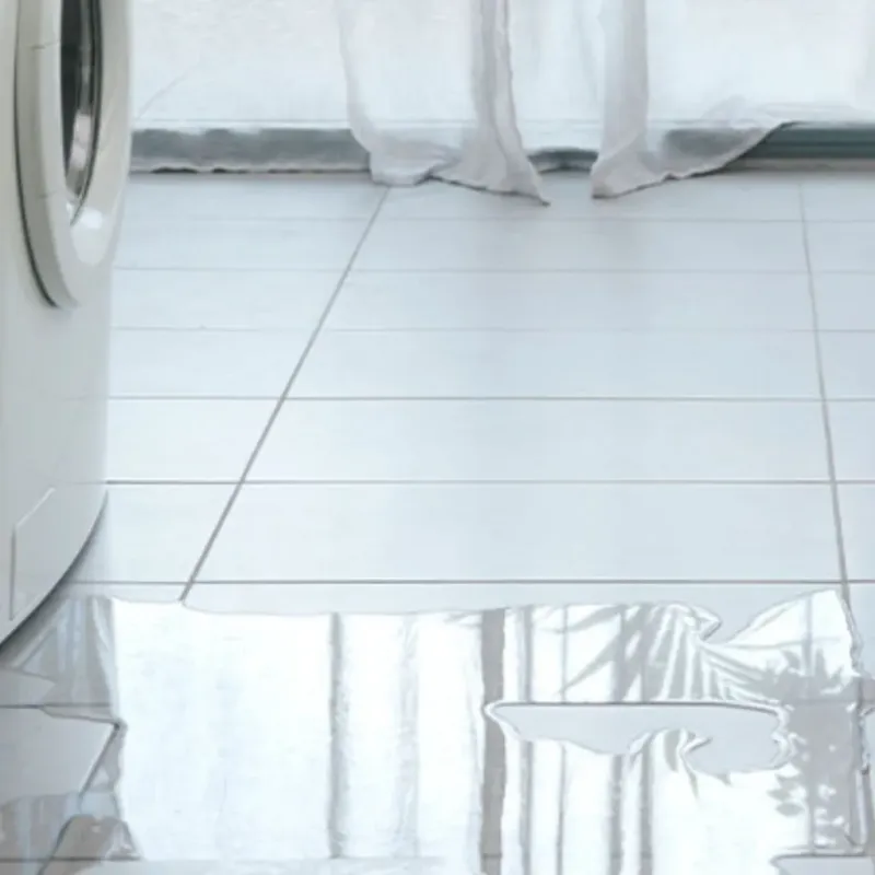 Appliance Leak Cleanup in Sharon, WI