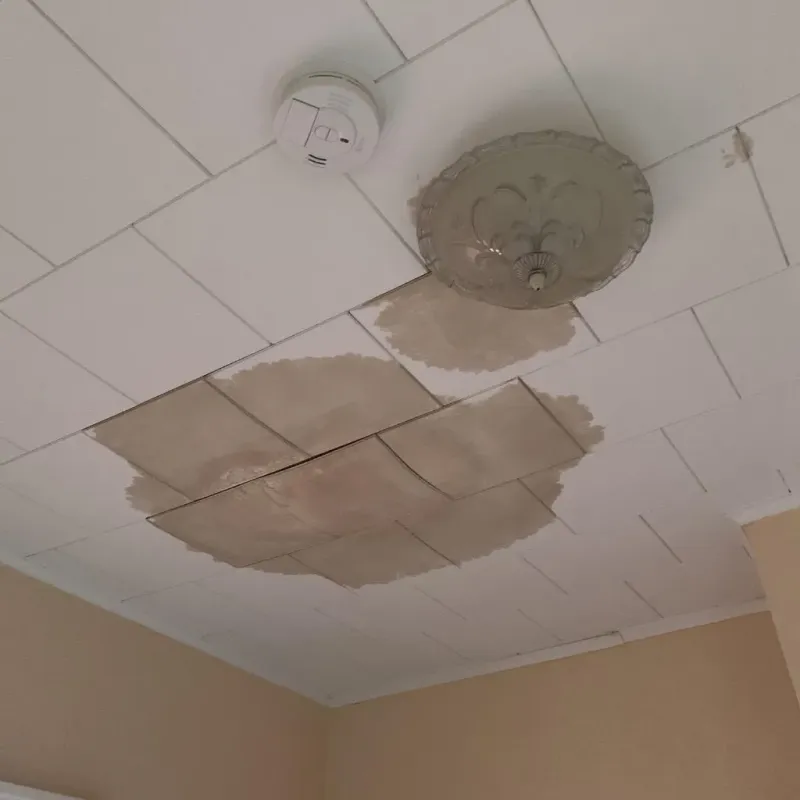 Ceiling Water Damage Repair in Sharon, WI