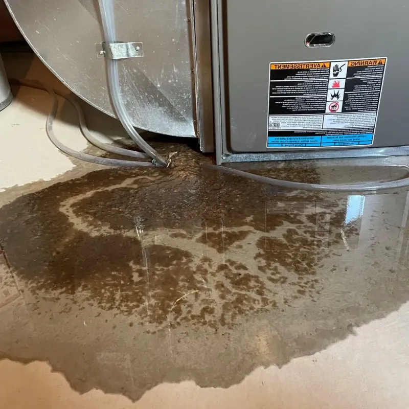 Pipe Burst and Leak Restoration in Sharon, WI